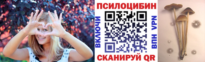 Псилоцибиновые грибы GOLDEN TEACHER  Стрежевой 